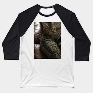 Kitten With a Speckled Coat Baseball T-Shirt